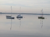 Sail boats